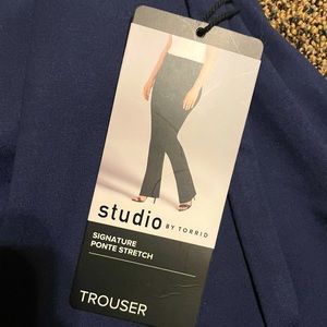 Size 22 blue slacks